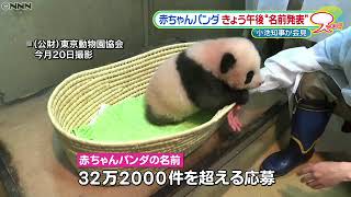 上野の赤ちゃんパンダ　名前きょう午後発表｜動画ニュース News24h