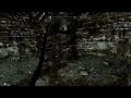 Full Skyrim Dawnguard Walkthrough: Chasing Echoes Pt1 [HD]