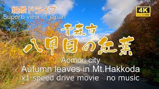 絶景ドライブ　青森市八甲田の紅葉を走る　Superb view　Drive in japan. Mt.Hakkoda inAomori city.