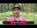 7.5 lesson 4 interviews with palm oil farmers