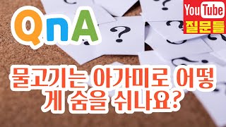 물고기는 아가미로 어떻게 숨을 쉬나요?