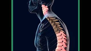 pain back - how to prevent and reduce muscular back pain