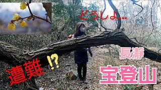 【秩父宝登山】《登山女子》宝登山で遭難しかけました!?