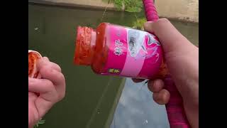 Fishing tip using good bait easy to get fish Ep026