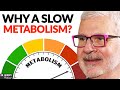 The #1 REASON You Might Have A SLOW Metabolism | Dr. Steven Gundry