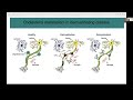 [Stefan Berghoff] Microglia facilitate repair of demyelinated lesions via post-squalene sterol...