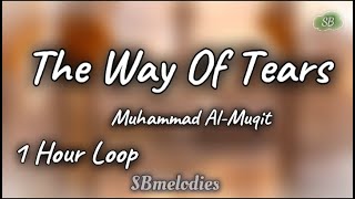 Download The Way Of Tears- Muhammad Al-Muqit (1 Hour Loop) 🌠 mp3