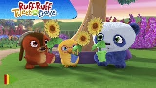 Ruff-Ruff, Tweet and Dave - 11 - A Garden Adventure