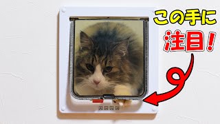 猫用扉が壊れて猫達が閉じ込められるトラブル発生！ロック機能付きを使っている人は要チェック！