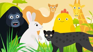 Leer de leuke dierengeluiden Deel 3 / Leer dieren herkennen aan hun geluid
