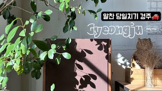 [Daily log] 잘 먹고 잘 쉬고, 매우 알찼던 당일치기 경주 나들이🍣☕️📚🍪🍵