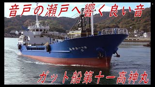 ガット船第十一高神丸　ドック後なのか船体が奇麗です。そして音戸の瀬戸へ良い音響かせています＾＾