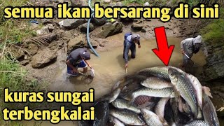 NEKAD KURAS SARANG IKAN DI CURUG ANGKER