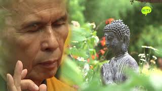 《飄》第17集 一行禪師 Gone with the wind EP17 Thich Nhat Hanh