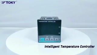 Digital Intelligent Temperature Controller 3A 250V AC RELAY / SSR / Analog Output