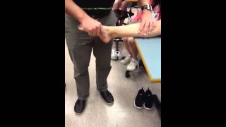 Kin 241-2013 ( tibial is anterior length test)