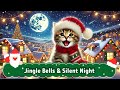 Christmas Melodies with a Kitten 🎄🐾Jingle Bells & Silent Night 🎶✨