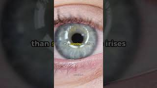 DxVKQedkzB4