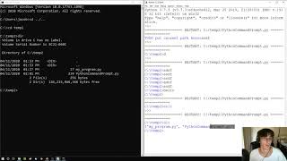 Creating a Basic Custom Command Prompt in Python