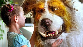 Super Big Dog | Film COMPLET en Français (Comédie, Famille)