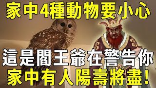 風水大師發話：家中有這4種動物千萬小心，這是閻王爺在警告你，家中有人陽壽將盡！【曉書說】