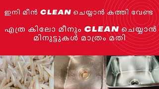 കത്തിയിലാതെ എത്ര കിലോ മീനും clean ചെയ്യാൻ ഇനി മിനുട്ടുകൾ മാത്രം | Kitchen Tips