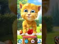 talkinginger2 cat 🍦🎂🍥🍨🍜🍩 funny talkingtom funnyvideo