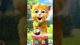 #talkinginger2 #cat 🍦🎂🍥🍨🍜🍩 #funny #talkingtom #funnyvideo