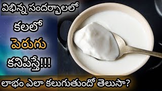 కలలో పెరుగు కనిపిస్తే || Kalalo Perugu Kanipiste || Curd in Dream Analysis \u0026 Meaning || Dreambook