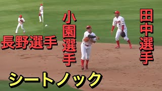 ショート小園選手　ライト長野選手　広島東洋カープ　シートノック（選手名入り）【２０１９／６／２１＠マツダスタジアム】