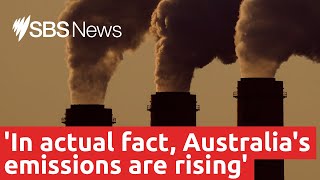 Will action on climate change affect jobs and power bills? I SBS News