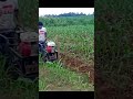 Inovasi Alat Pertanian - Mesin Dangir Jagung