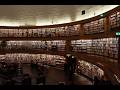 Hidden Library Under the Ocean 📚🐠 | Deep Focus Ambience