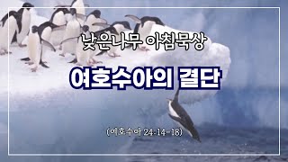 [낮은나무 아침묵상] _여호수아의 결단 _여호수아 24:14-18 _신원동 낮은나무교회