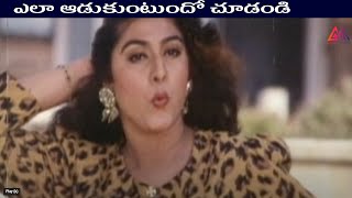 ఎలా ఆడుకుంటుందో చూడండి||Telugu Super Best Romance Scene#GangothriMovies