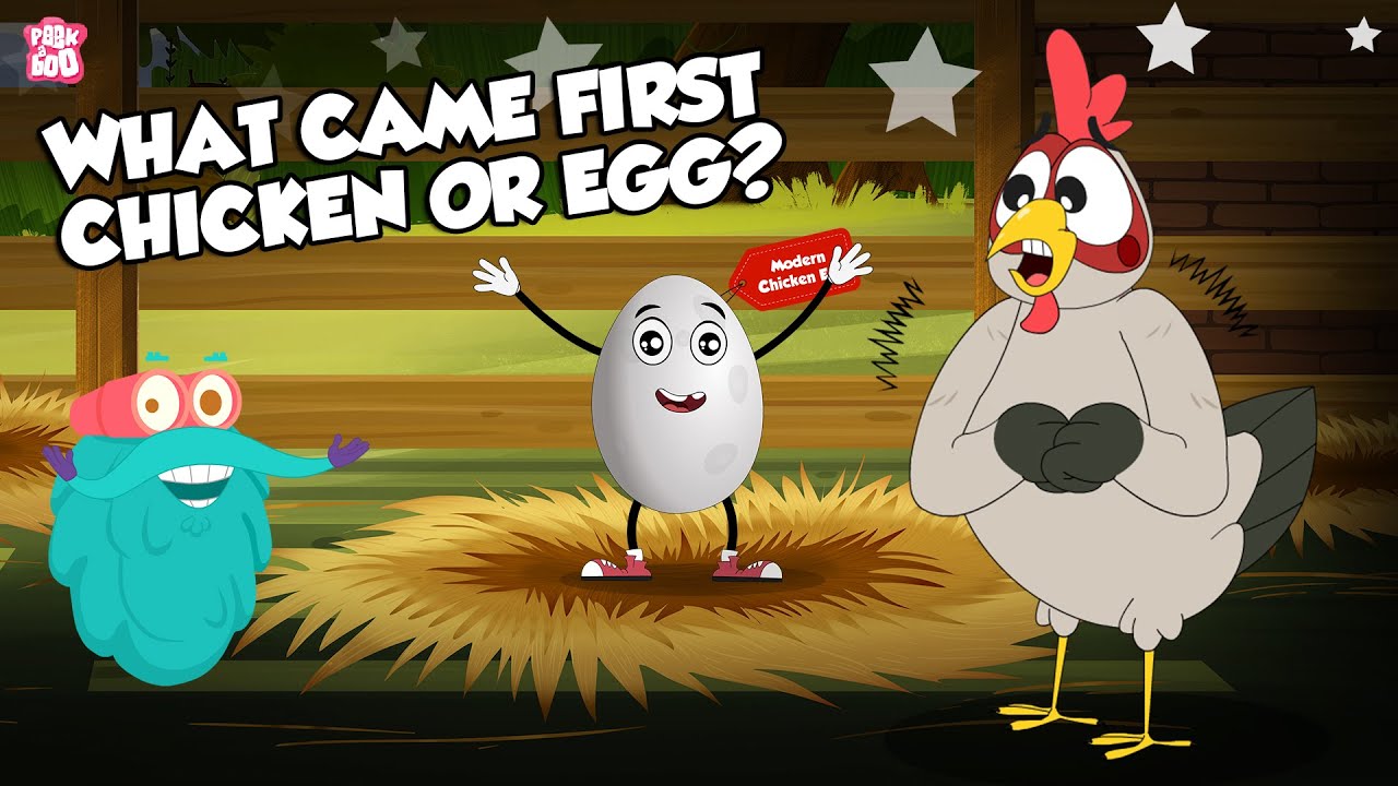 What Came First The Chicken Or The Egg? | The Most Confusing Question ...