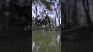 Togariishi Onsen Jomon Hot Spring　尖石温泉縄文の湯　長野　Nagano 源泉かけ流し ♨