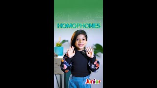 Homophones | English Plus Junior