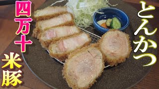 【高知家のグルメ】トンカツの名店。紅豚(ぽるころっそ)ブランド豚肉「四万十米豚」で至福のひと時。