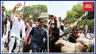 Rahul Gandhi Rides Bicycle And Campaigns On Bullock Cart To Protest Fuel Hike