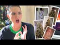 Tree Decorator Reacts to YOUR Christmas Trees!