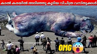 Top 10 Strangest Things To Wash Up On Shore/കടൽ കരയിൽ അടിഞ്ഞു കൂടിയ വിചിത്ര വസ്തുക്കൾ