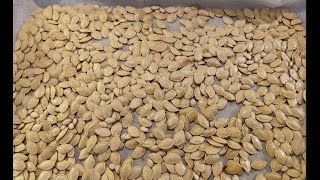 Fall Special-Baked Pumpkin Seeds秋天特供-烤南瓜籽儿