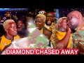 FULL VIDEO AS WILLY PAUL FOUGHT DIAMOND PLATNUMZ BODYGUARD AND SECURITY