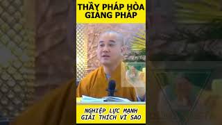 Vì sao con tui yêu người chẳng ra gì? - thầy Pháp Hòa #thichphaphoa #loiphatday