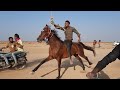 वीर ओर मोती की काट्टेकि टक्कर // Horse race in vekriya rann 2021