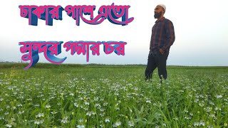 ভাগ্যকূলের বিখ্যাত ঘোল মিষ্টি |ভাগ্যকুল বাজার |পদ্ম নদীর চরে গিয়ে ঘুরে আসুন |Vagyakul Bazar |Travel