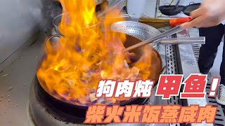 合肥郊区土菜馆，狗肉炖甲鱼，柴火米饭蒸咸肉，喝酒真得劲！【唐哥美食】