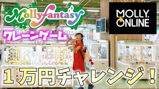 【初1万円企画】モーリーファンタジー★Mollyfantasy☆クレーンゲーム1万円チャレンジ♪ 食レポ＆モーリーオンラインもやるよ！　【ももかチャンネル】