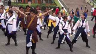 総踊り「よっちょれ」／ビナウォークよさ来い祭り2013／海老名中央公園（七重の塔前)